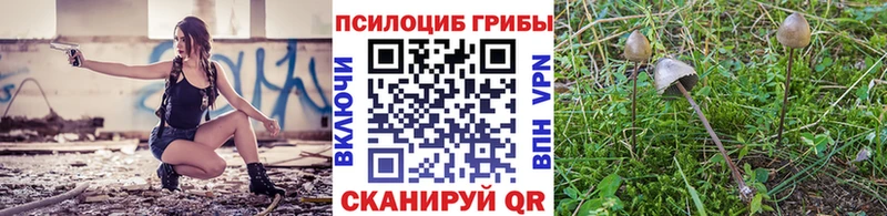 Галлюциногенные грибы Psilocybine cubensis Вилючинск