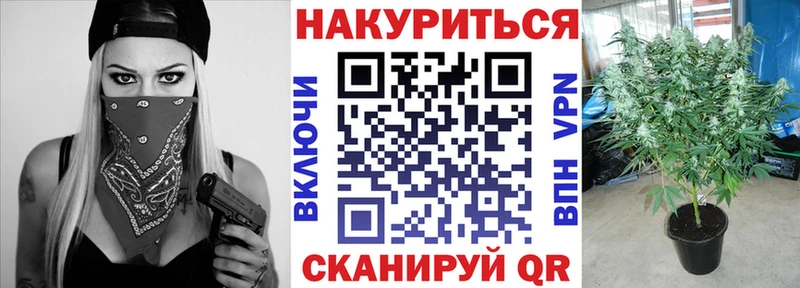 Марихуана план  Вилючинск 